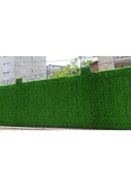 50CM Çim Çit 10 Metre