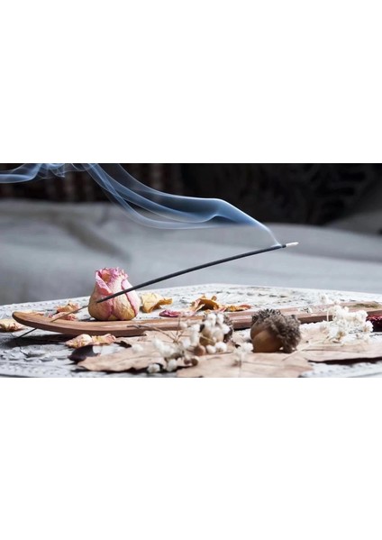 Aloe Vera Çubuk Tütsü - Oda Ortam Kukusu - 20 Adetlik 1 Paket fırsatları