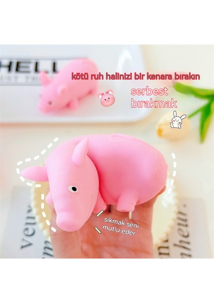 Internet Ünlüsü Pembe Domuz Tutamı Lela Domuzu (Yurt Dışından) fırsatları