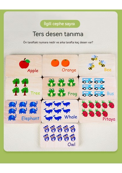 Erken Eğitim Matematik Öğrenme Çubuğu Renk Biliş Eşleştirme Tahtası (Yurt Dışından) modelleri