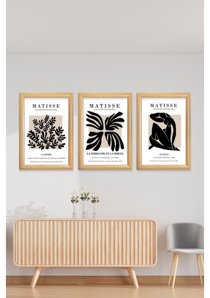 Henri Matisse Modern Artwork Modern Floral Woman Body Line 3'lü Çerçeveli Camlı Tablo 23.5 x 33,5