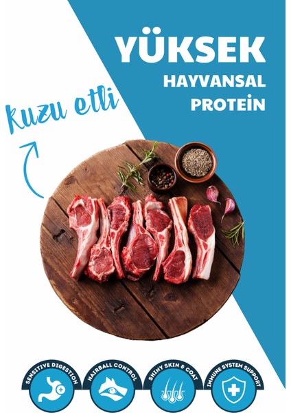 Premium Dog Puppy Lamb&rice Kuzu Etli Yavru Köpek Maması 3 kg