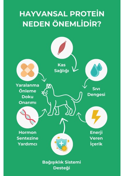 Premium Gurme Tavuklu Yetişkin Kedi Maması 15 kg