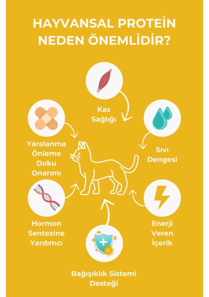 Premium Tavuk Etli Yetişkin Kedi Maması 15 kg