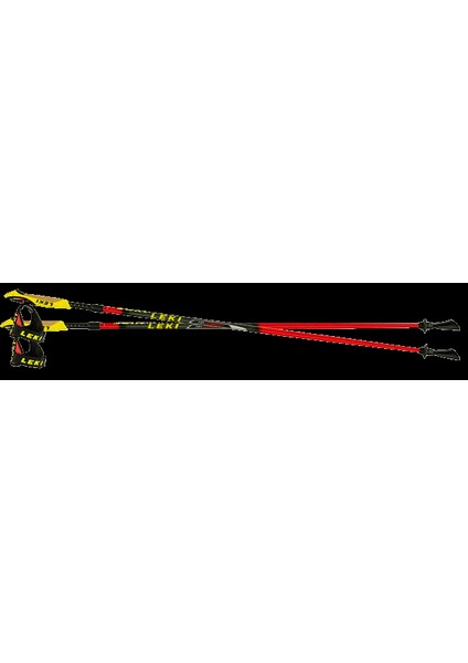 Nordic Walking Speed Pacer Vario