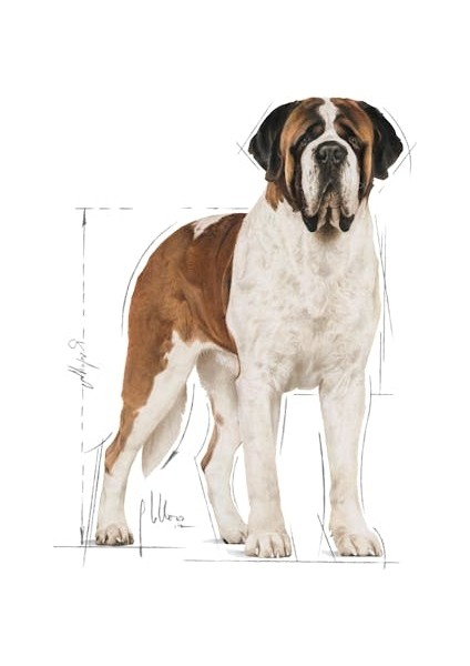 Giant Adult Köpek Maması - 15 Kg