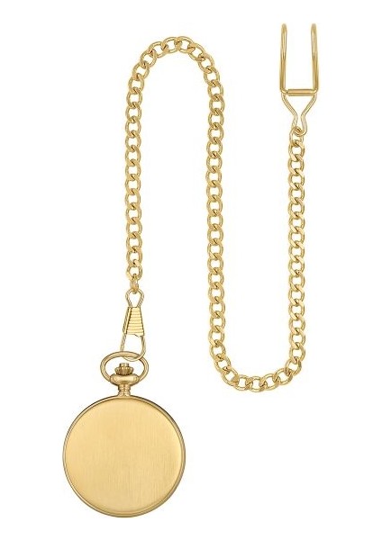 PT105 Hislon Cep Saati 46 mm Gold fiyatları