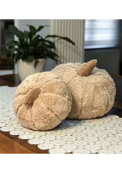 Pababo 2li Kabak Kırlent