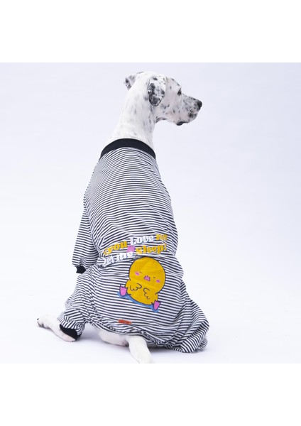 Siyah Çizgili Orta ve Büyük Irk Köpek Pijaması - Köpek Tulumu - Köpek Kıyafeti (15 kg-45 kg) modelleri