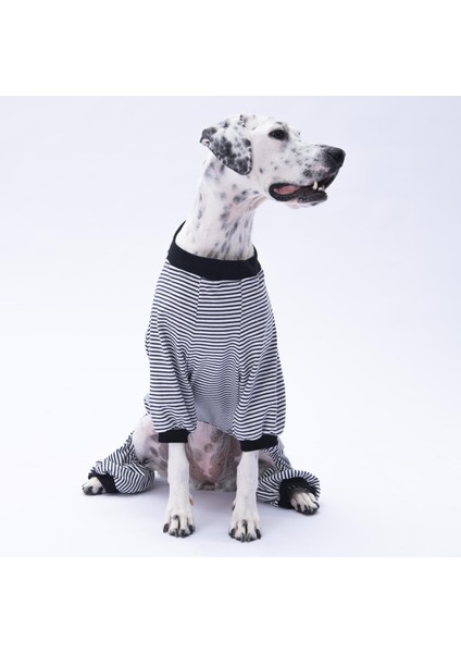 Siyah Çizgili Orta ve Büyük Irk Köpek Pijaması - Köpek Tulumu - Köpek Kıyafeti (15 kg-45 kg) fırsatları