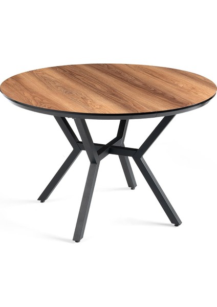 Roza Alfa Yuvarlak Highgloss Mutfak Masa Sandalye Takımı 120CM indirimleri