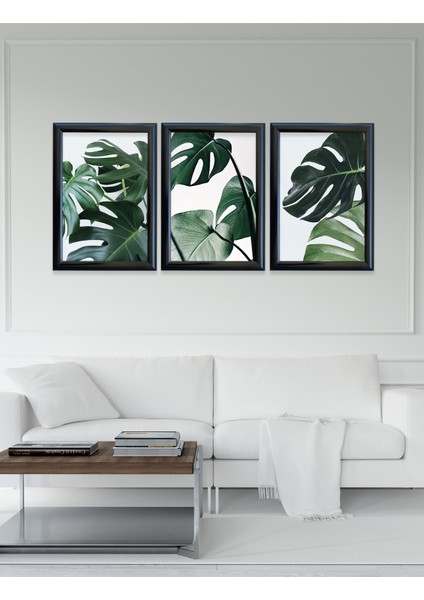 "doğa'nın Zarafeti Monstera Yaprakları Çerçeveli Camlı 23,5 x 33,5 cm 3'lü Set Tablo