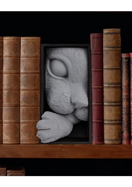 Kedi Temalı Kitap Tutucu - Kitaplık Dekoru