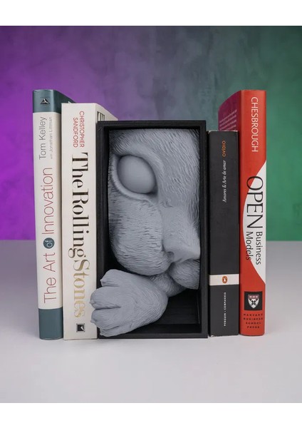 Kedi Temalı Kitap Tutucu - Kitaplık Dekoru fiyatları