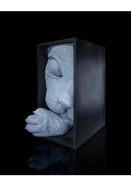 Kedi Temalı Kitap Tutucu - Kitaplık Dekoru fırsatları