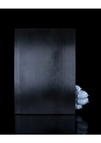 Kedi Temalı Kitap Tutucu - Kitaplık Dekoru indirimleri