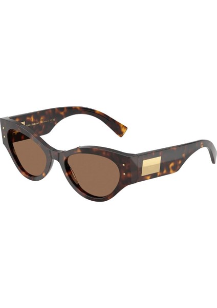 Dolce&gabbana DG4480 502/73 53-19 Kadın Güneş Gözlüğü