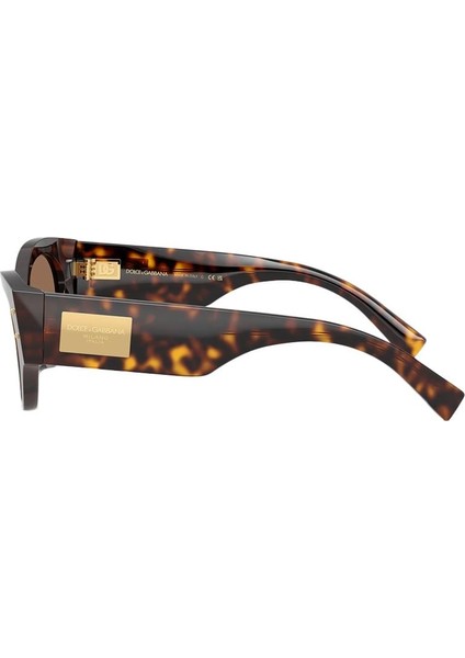 Dolce&gabbana DG4480 502/73 53-19 Kadın Güneş Gözlüğü modelleri