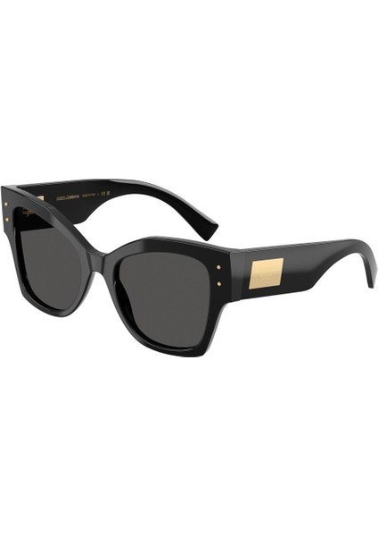 Dolce&gabbana DG4478 501/87 53-20 Kadın Güneş Gözlüğü