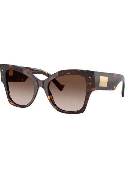 Dolce&gabbana 4478 502/13 53-20 Kadın Güneş Gözlüğü