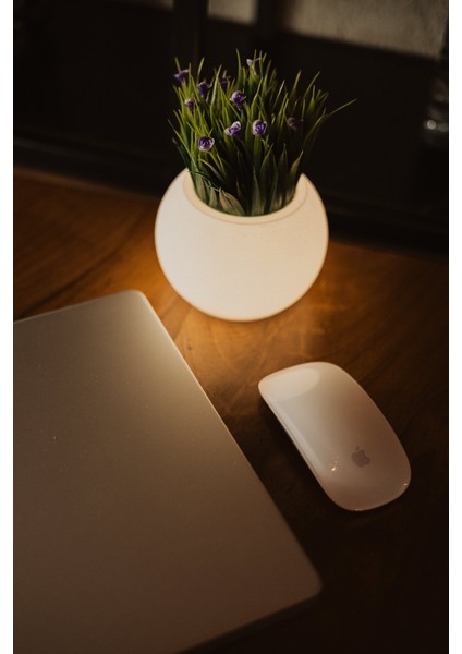 Moon LED Işıklı Küre Saksı – Gece Lambası Özellikli Dekoratif Saksı fiyatları
