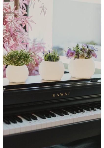 Moon LED Işıklı Küre Saksı – Gece Lambası Özellikli Dekoratif Saksı fırsatları