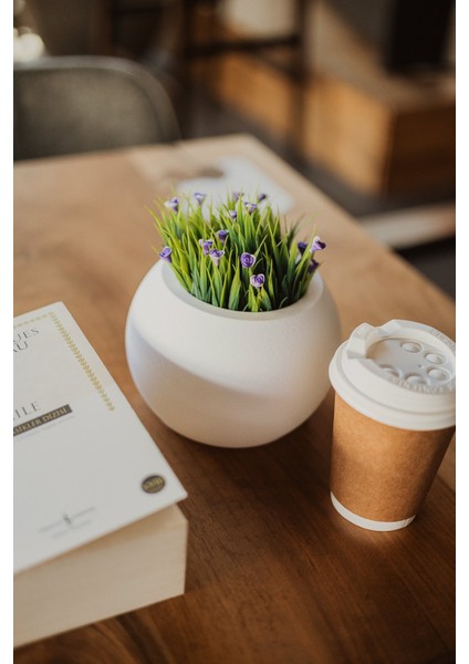 Moon LED Işıklı Küre Saksı – Gece Lambası Özellikli Dekoratif Saksı indirimleri