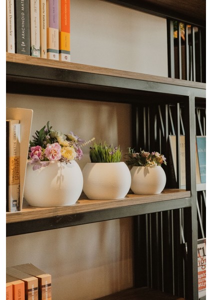 Moon LED Işıklı Küre Saksı – Gece Lambası Özellikli Dekoratif Saksı