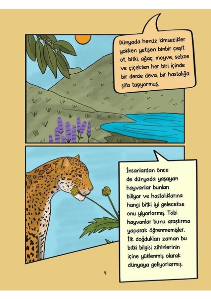 Tabip ve Hemşire
