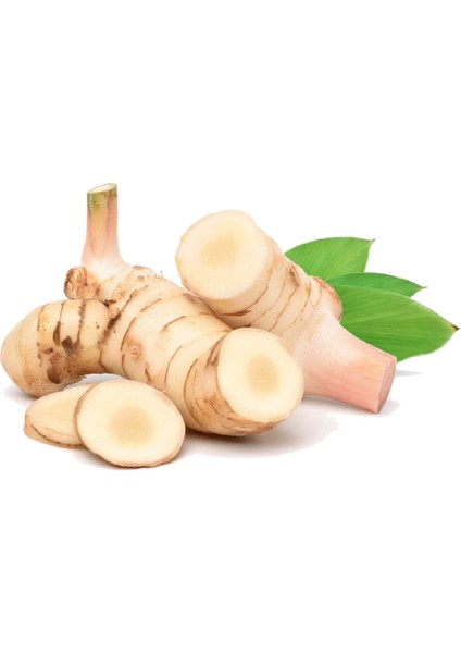 Lengkuas Segar, Galangal, Taze Havlıcan 250GR