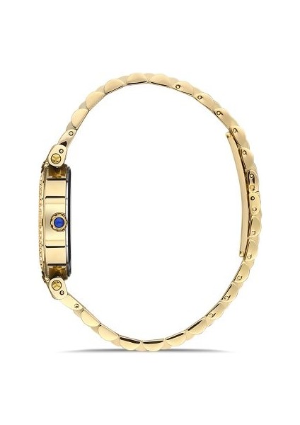 SS246G-02SG Momentus Women's Shinystar Kol Saati fiyatları