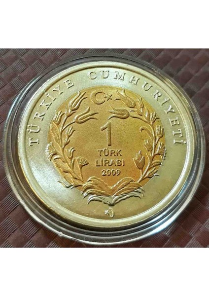 Bimetal Hayvanlar Caretta 2009 Yılı Hatıra Para Çil Kapsül Içinde Görseldeki Ürün