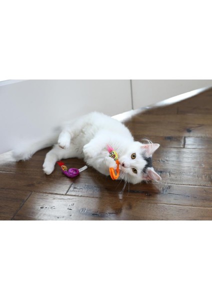 Fat Cat Springy Worms Kedi Otlu 2'li Peluş Kedi Oyuncağı