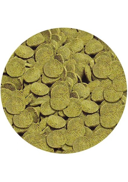 Wels Chips Nature 100gr Açık Kilitli Poşette Skt: 11/2027