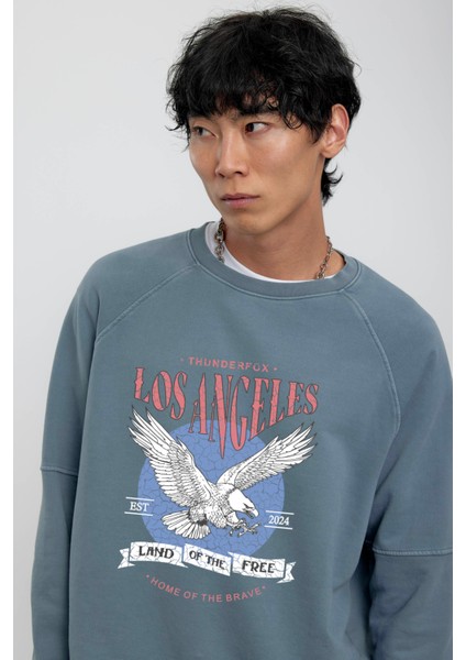 Mavi Kartal Baskılı Sweatshirt fiyatları