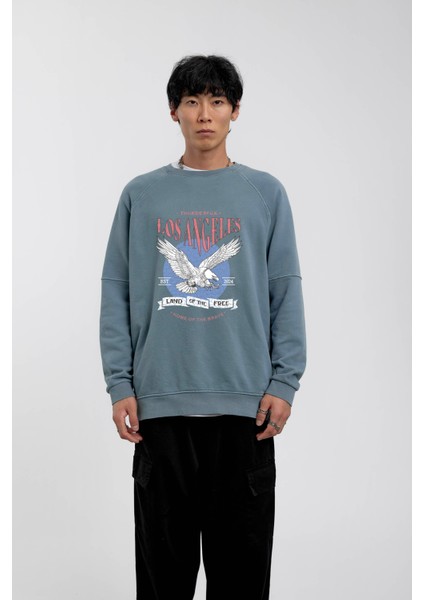 Mavi Kartal Baskılı Sweatshirt fırsatları
