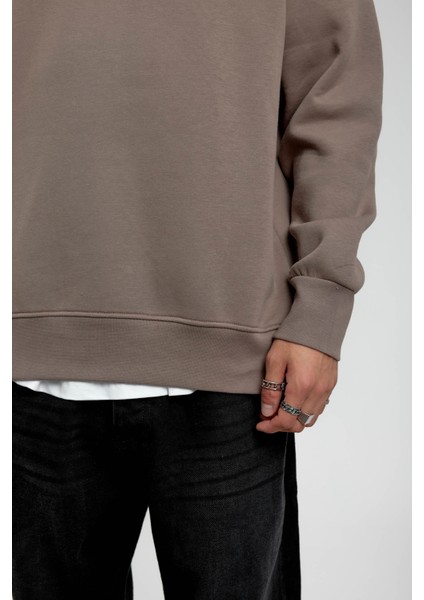Vizon Yakası Fermuarlı Basic Şardonlu Sweatshirt fiyatları