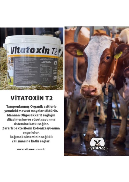 Vitatoxin T2 -Büyükbaş&küçükbaş Hayvanlar Için Toksin Bağlayıcı