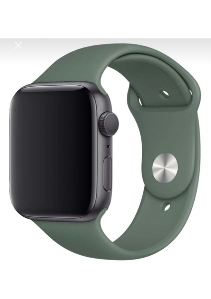Apple Watch Kordon Düz Renk Silikon 42/44/45/49 mm Uyumlu Mor
