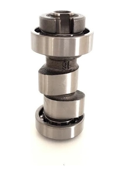 Yamaha Ybr 125 Eksantrik Mili Bilyalı modelleri