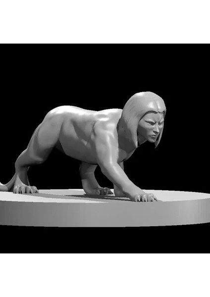 Insanımsı Kedi Figürü