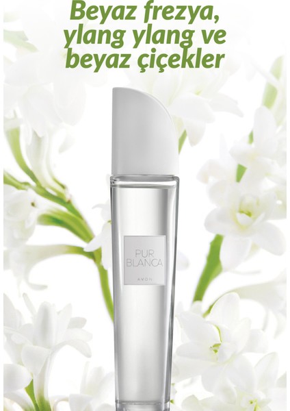 Pur Blanca Kadın Parfüm Seti EDP 50 ml ve Pur Blanca Elegance 50 ml Hediyelik Paket fiyatları