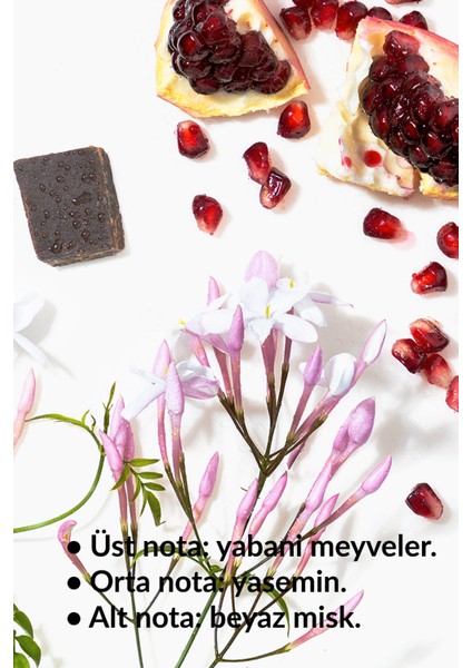 Pur Blanca Kadın Parfüm Seti EDP 50 ml ve Pur Blanca Elegance 50 ml Hediyelik Paket indirimleri