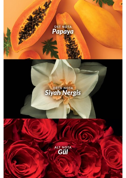 Passion Dance ve Passion Dance Dark Kadın Parfüm Paketi modelleri