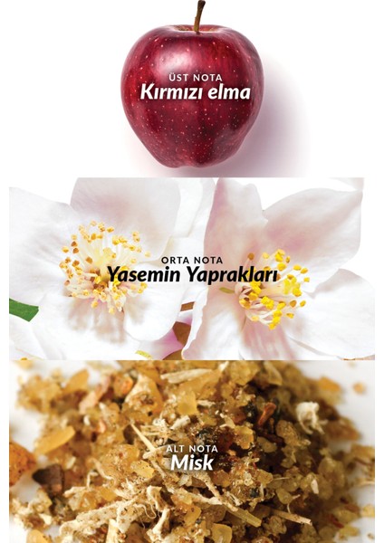 Eve Prive Kadın Parfüm EDP 50 ml ve Vücut Losyonu Seti Hediyelik 10 ml modelleri