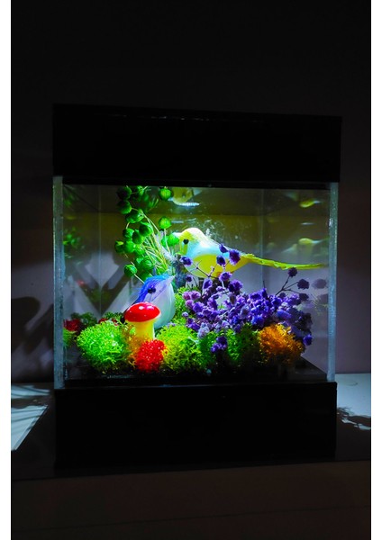 LED Venüs Moss Teraryum Bir Çift Kuş Aşk Sevgi Kuşu Işıklı Pleksi Kutuda Sevgiliye Özel Hediye fiyatları