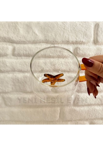 Yeninesilevim Içi Üç Boyutlu Renkli Hayvan Figürlü Tombul Cam Kupa Bardak 350 ml