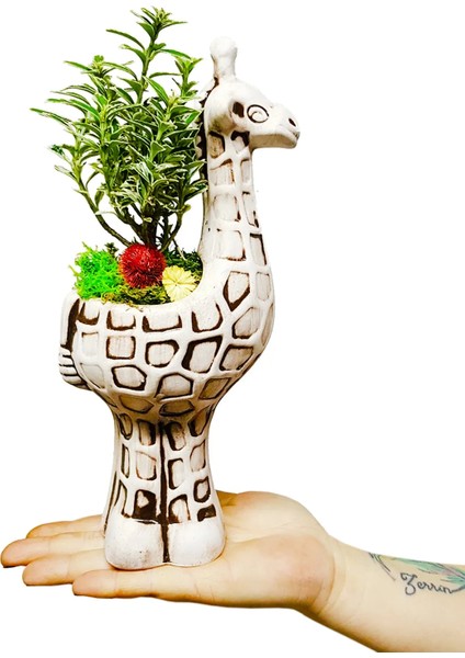 Dekoratif Seramik Zürafa Saksıda Euonymus Bonsai Hediyelik Ev Ofis Bitkisi Canlı Çiçek