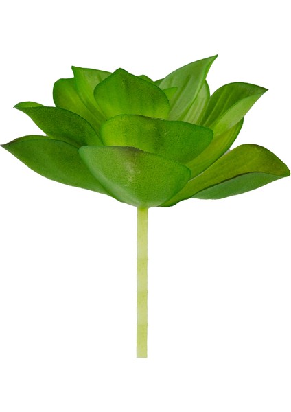 Yapay Mini Etli Echeveria Sukulent Açık Yeşil 8 cm