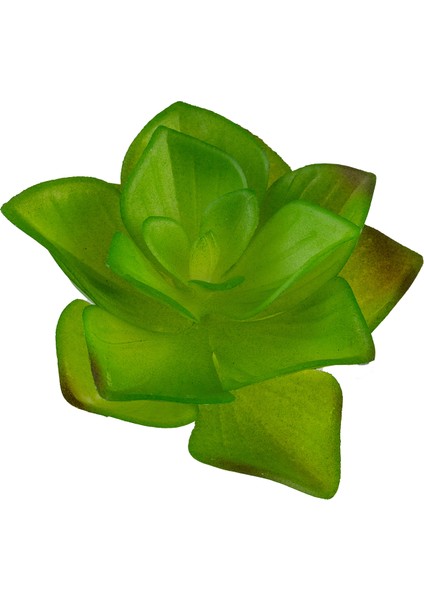 Yapay Mini Etli Echeveria Sukulent Açık Yeşil 8 cm